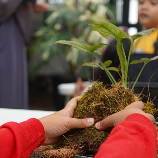 kokedama.jpg