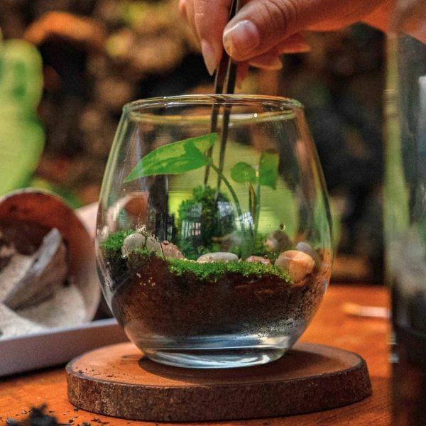 terrarium-1.jpg